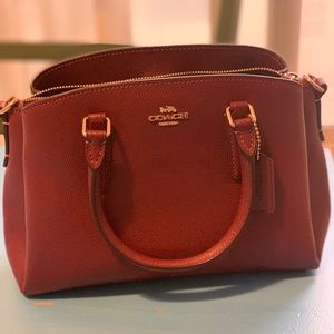 Mini Sage Carryall wine color